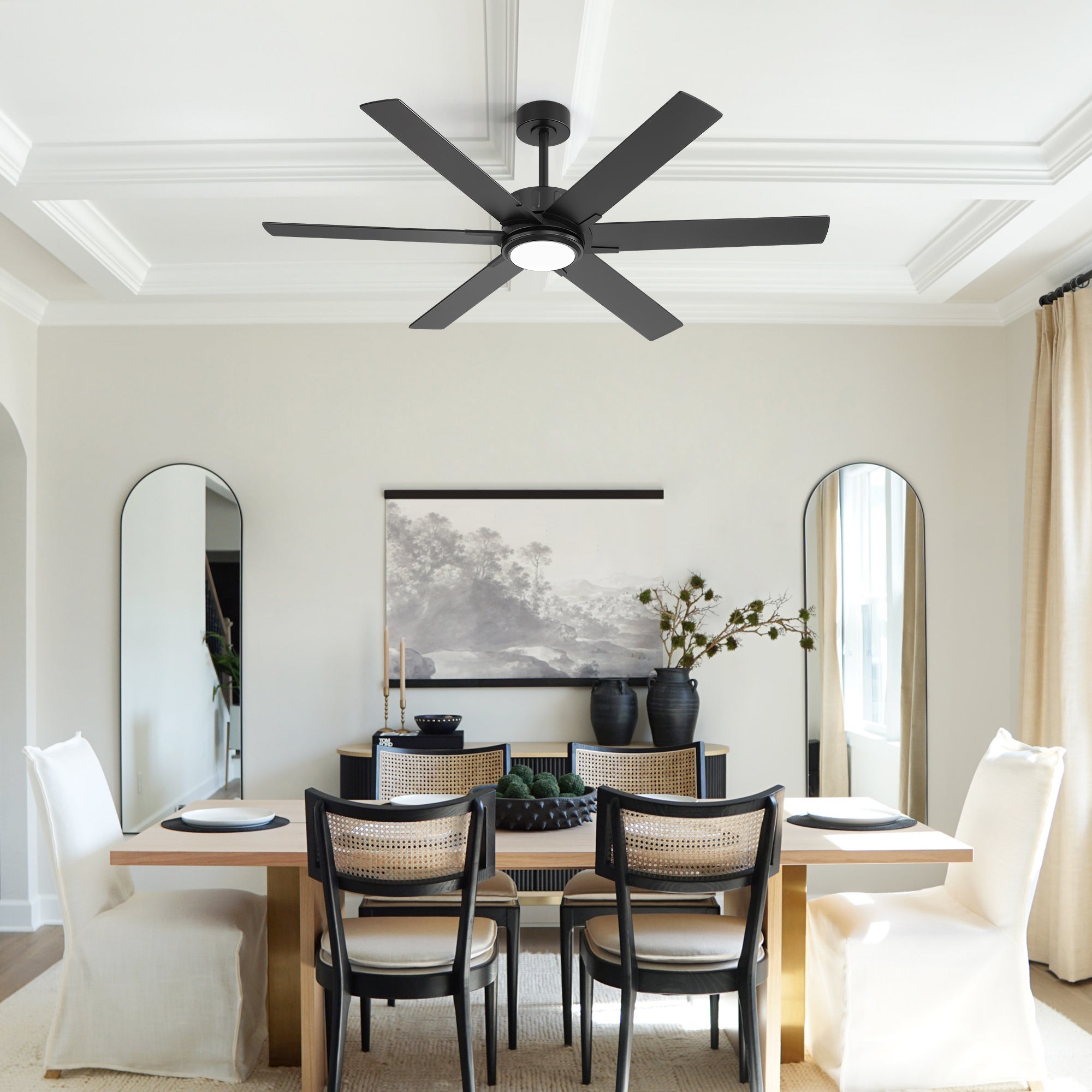 Ceiling Fan with Light