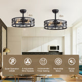 Coris 20-Inch Matte Black Caged Ceiling Fan With Light