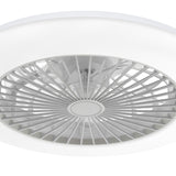 Ostis 19-Inch Smart Low Profile Ceiling Fan With Light