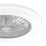 Ostis 19-Inch Smart Low Profile Ceiling Fan With Light