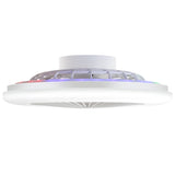Ostis 19-Inch Smart Low Profile Ceiling Fan With Light