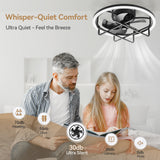 Marora 20-Inch Black Ceiling Fan With Light