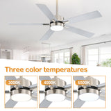 Charlie 42/52 Inch Ceiling Fan with Light & Remote