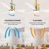 Aervon 52-Inch 3-Blade Ceiling Fan With Light