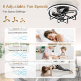 Marora 20-Inch Black Ceiling Fan With Light
