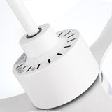 Aervon 52-Inch 3-Blade Ceiling Fan With Light