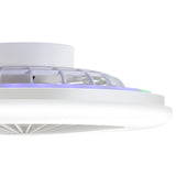 Ostis 19-Inch Smart Low Profile Ceiling Fan With Light