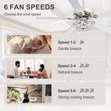Neven 52-Inch Chrome 5-Blade Ceiling Fan With Light