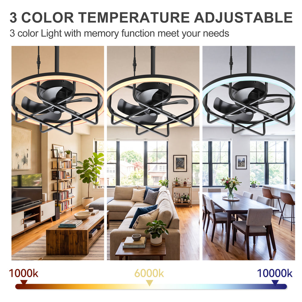 Nelis 20-Inch Outdoor Caged Ceiling Fan With Light