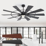 Raven 62/72 Inch 10-Blade Ceiling Fan With Light & Remote