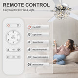 Neven 52-Inch Chrome 5-Blade Ceiling Fan With Light