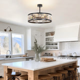 28 Inch Caged Ceiling Fan with Light & Remote Control