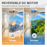 Neven 52-Inch Chrome 5-Blade Ceiling Fan With Light