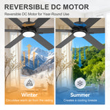Lumora 60 Inch Ceiling Fan With Light and Remote