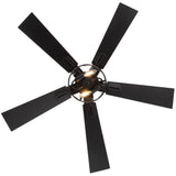 Savelle 42/52-Inch 5-Blade Ceiling Fan With Light & Remote