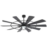 Raven 62/72 Inch 10-Blade Ceiling Fan With Light & Remote