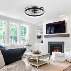 20 inch Black Caged Ceiling Fans with Lights, Low Profile Flush Mount Enclosed Ceiling Fan Remote Control, Reversible DC Motor, Modern Bladeless Ceiling Fan with Led Light for Bedroom