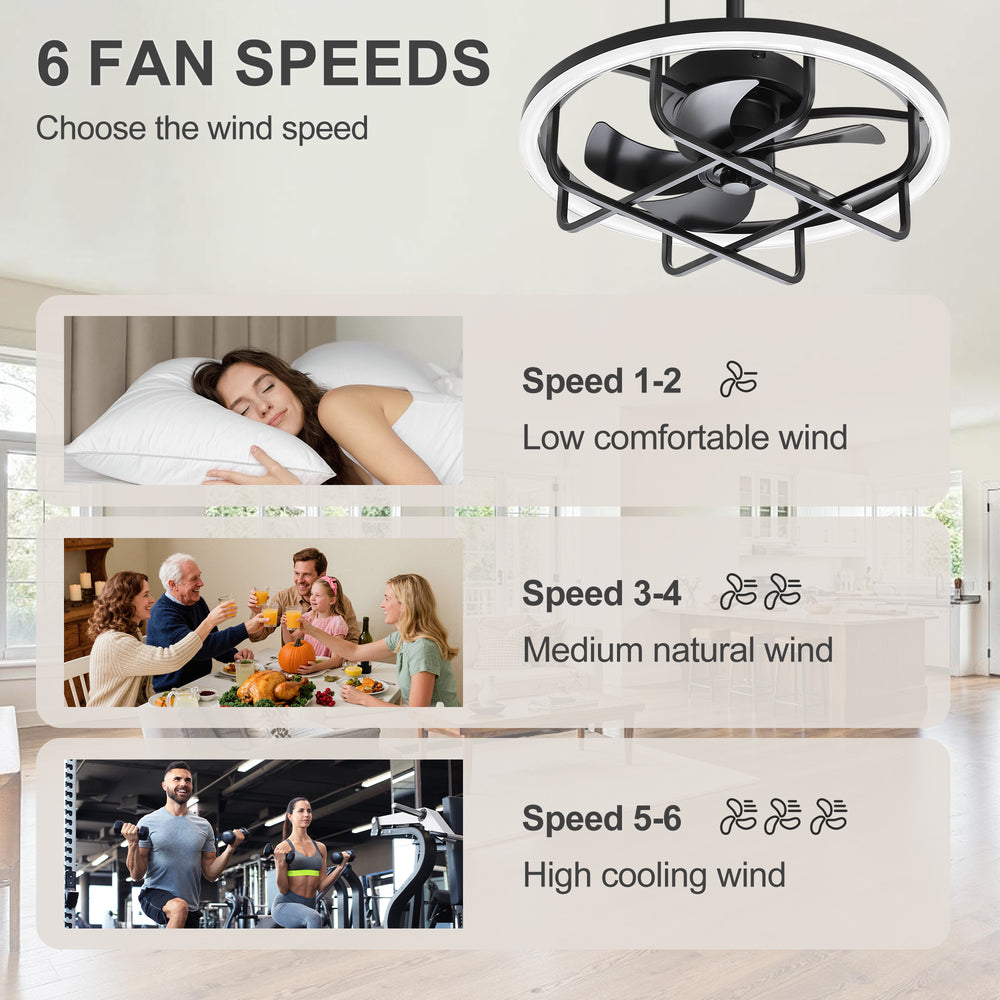 Nelis 20-Inch Outdoor Caged Ceiling Fan With Light