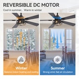 Savelle 42/52-Inch 5-Blade Ceiling Fan With Light & Remote