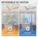 Savelle 42/52-Inch 5-Blade Ceiling Fan With Light & Remote