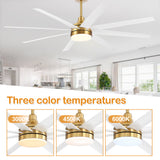 AeroSpan Lux 65-inch gold and white 8-blade ceiling fan with 3000K, 4500K and 6000K light color temperatures
