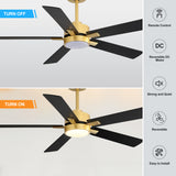 Charlie 42/52 Inch Ceiling Fan with Light & Remote