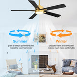 Charlie 42/52 Inch Ceiling Fan with Light & Remote