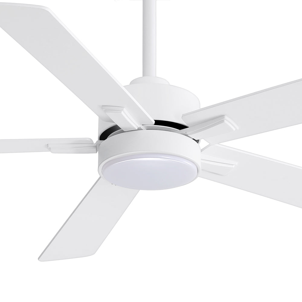 Charlie 42/52 Inch Ceiling Fan with Light & Remote