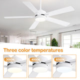 Charlie 42/52 Inch Ceiling Fan with Light & Remote