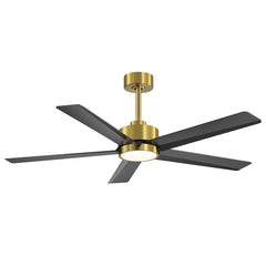 24031-remote with receiver