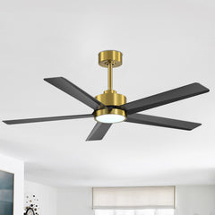 52 inch Ceiling Fans with Lights, 5-Blade Ceiling Fan with Remote Control, Quiet Reversible DC Motor, Timer, 6-Speed, Easy Install, Industrial Ceiling Fan for Porch Living Room
