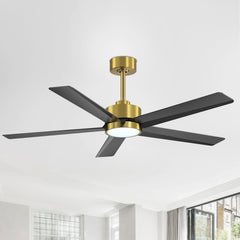 52 inch Ceiling Fans with Lights, 5-Blade Ceiling Fan with Remote Control, Quiet Reversible DC Motor, Timer, 6-Speed, Easy Install, Industrial Ceiling Fan for Porch Living Room