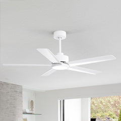 52 inch Ceiling Fans with Lights, 5-Blade Ceiling Fan with Remote Control, Quiet Reversible DC Motor, Timer, 6-Speed, Easy Install, Industrial Ceiling Fan for Porch Living Room
