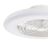 Ostis 19-Inch Smart White Low Profile Ceiling Fan With RGB Light