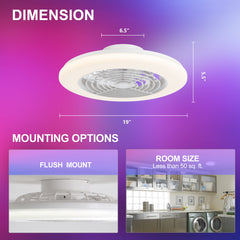19-in Low Profile Ceiling Fan with Light, RGB Dimmable LED Enclosed Ceiling Fans with Remote