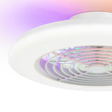 Ostis 19-Inch Smart White Low Profile Ceiling Fan With RGB Light
