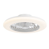 Ostis 19-Inch Smart White Low Profile Ceiling Fan With RGB Light