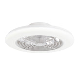 Ostis 19-Inch Smart White Low Profile Ceiling Fan With RGB Light