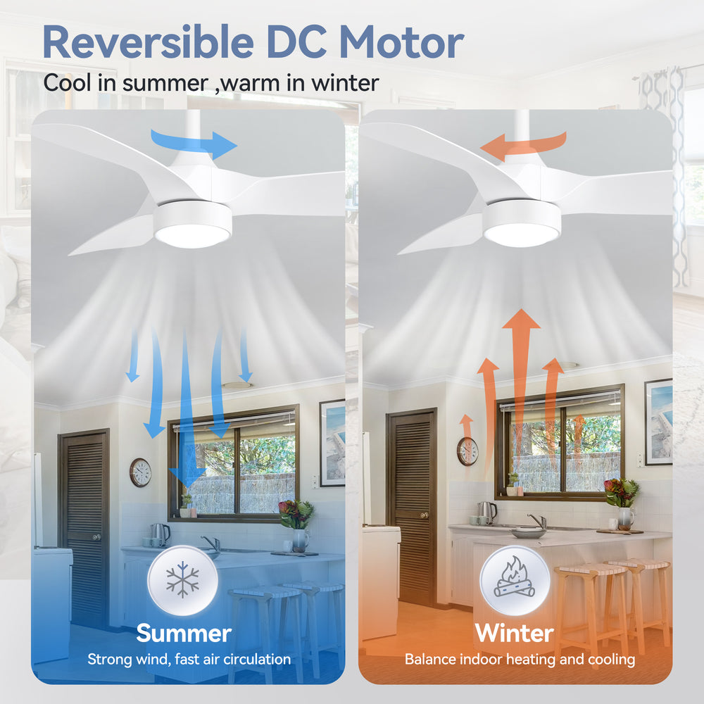 32-inch LED Ceiling Fan with Light Kit and Remote(3-Blade)