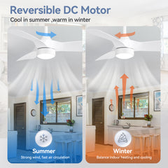 32-inch LED Ceiling Fan with Light Kit and Remote(3-Blade)