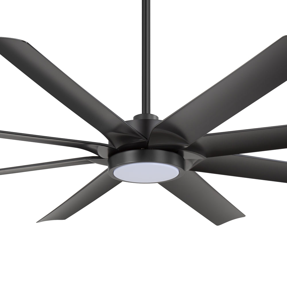 24044-Lightshade-T