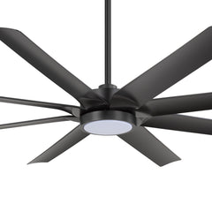 24044-Lightshade-T