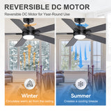 Charlie 42/52 Inch Ceiling Fan with Light & Remote