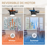 Iverora 52-Inch Black Ceiling Fan With Light and Remote