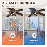 Jorelle 52-Inch Farmhouse Caged Ceiling Fan With Light & Remote