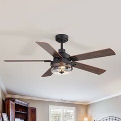 52-inch Matte Black Ceiling Fan with 5 Reversible  Blades, Seeded Glass Shade, 6-Speed Quiet DC Motor, Remote Control