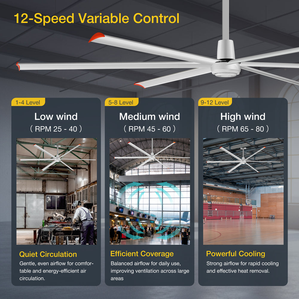 144" HVLS Ceiling Fan, Oversized Industrial Commercial 220V 1 Phase Ceiling Fan for Warehouses & Gyms, DC Motor, No Light with 6 Heavy-Duty Aluminum Blades, Permanent Magnet Synchronous Motor,Wired Wall-Mounted Controller,Silver Finish