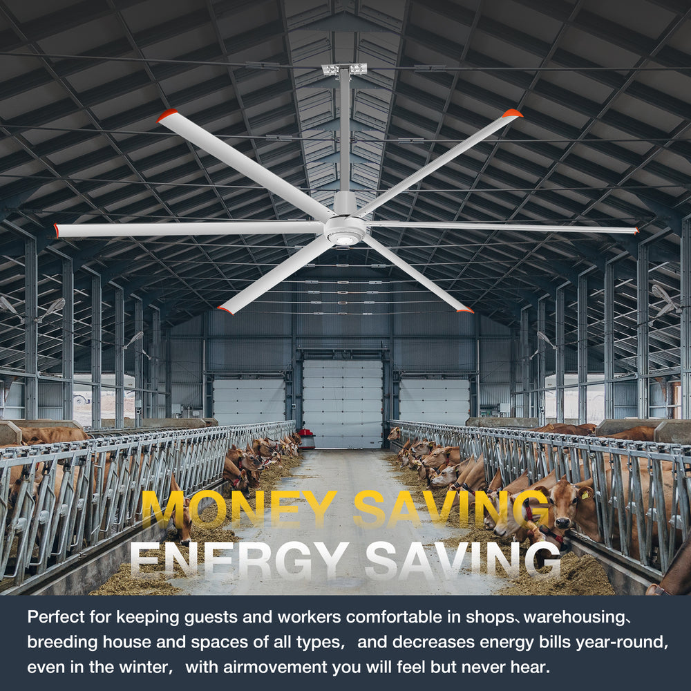 144" HVLS Ceiling Fan, Oversized Industrial Commercial 220V 1 Phase Ceiling Fan for Warehouses & Gyms, DC Motor, No Light with 6 Heavy-Duty Aluminum Blades, Permanent Magnet Synchronous Motor,Wired Wall-Mounted Controller,Silver Finish