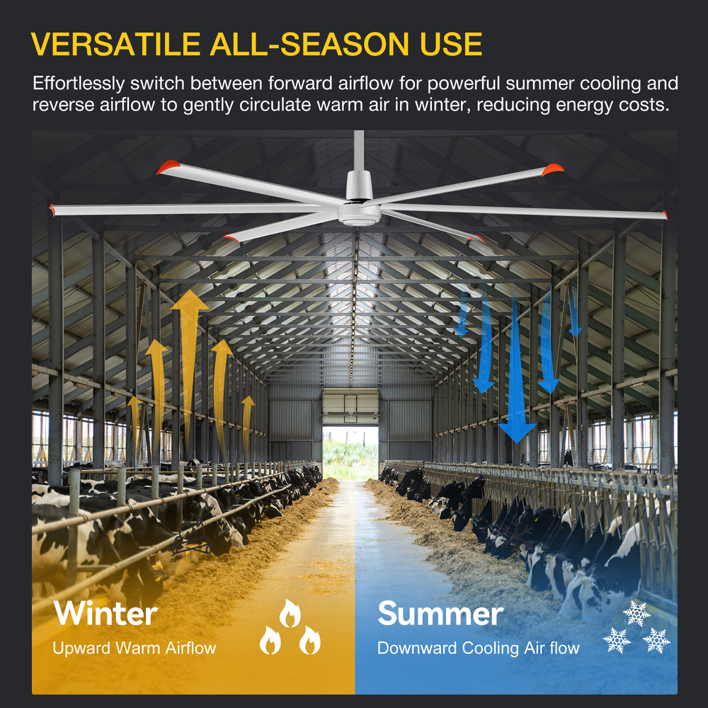 144" HVLS Ceiling Fan, Oversized Industrial Commercial 220V 1 Phase Ceiling Fan for Warehouses & Gyms, DC Motor, No Light with 6 Heavy-Duty Aluminum Blades, Permanent Magnet Synchronous Motor,Wired Wall-Mounted Controller,Silver Finish