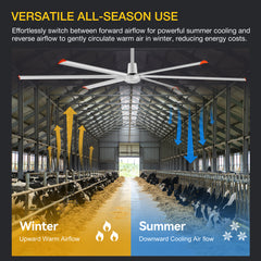 144" HVLS Ceiling Fan, Oversized Industrial Commercial 220V 1 Phase Ceiling Fan for Warehouses & Gyms, DC Motor, No Light with 6 Heavy-Duty Aluminum Blades, Permanent Magnet Synchronous Motor,Wired Wall-Mounted Controller,Silver Finish